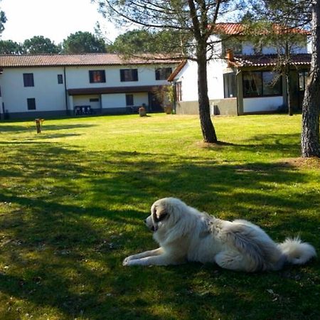 Artenatura Beb Terranuova Bracciolini Zewnętrze zdjęcie
