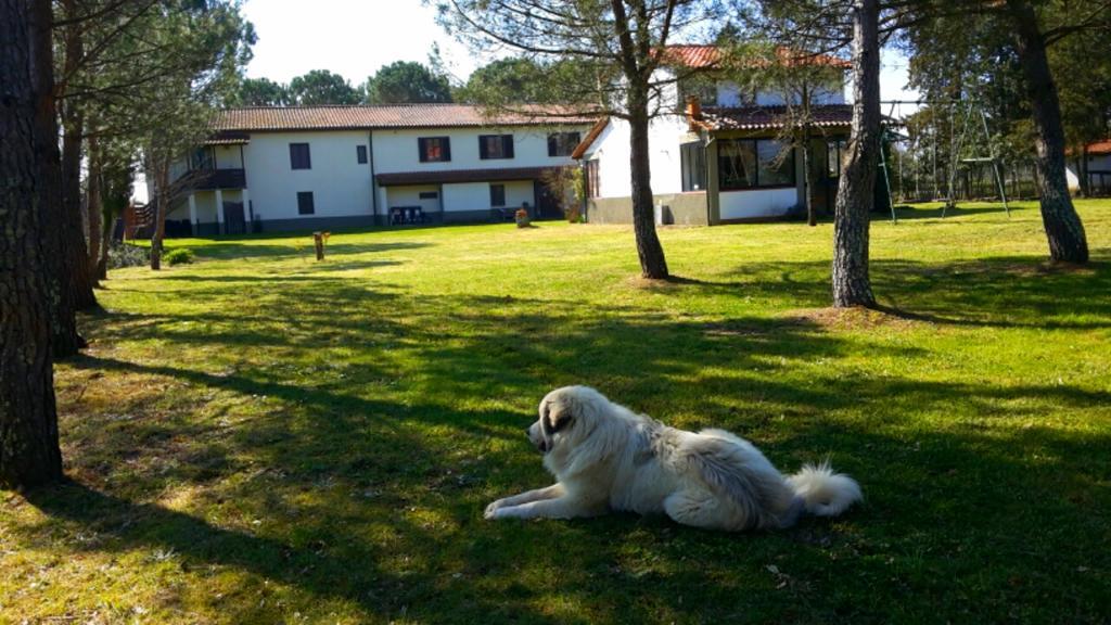 Artenatura Beb Terranuova Bracciolini Zewnętrze zdjęcie