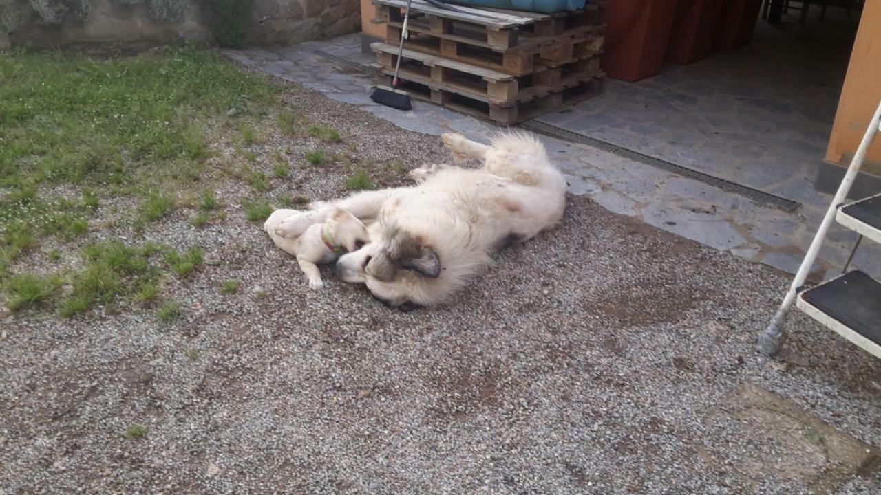 Artenatura Beb Terranuova Bracciolini Zewnętrze zdjęcie